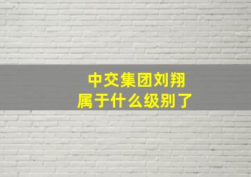 中交集团刘翔属于什么级别了