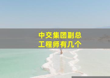 中交集团副总工程师有几个