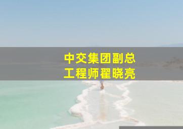 中交集团副总工程师翟晓亮