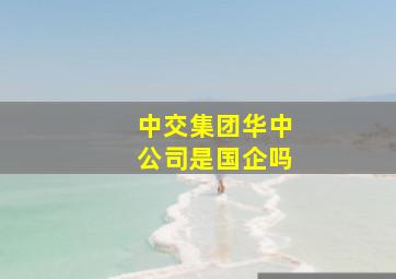 中交集团华中公司是国企吗