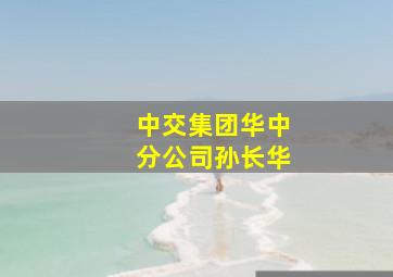 中交集团华中分公司孙长华