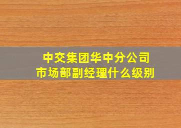 中交集团华中分公司市场部副经理什么级别