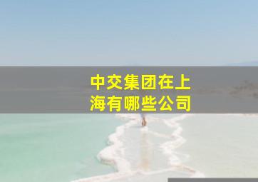 中交集团在上海有哪些公司