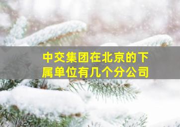 中交集团在北京的下属单位有几个分公司