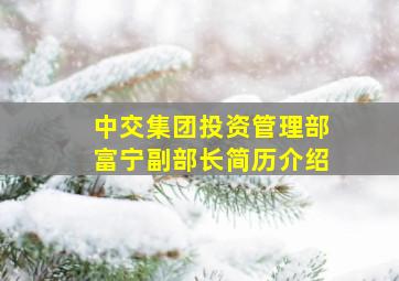 中交集团投资管理部富宁副部长简历介绍