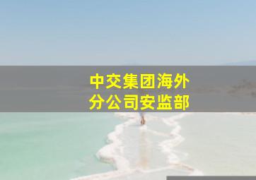 中交集团海外分公司安监部