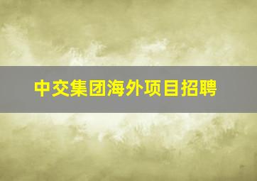 中交集团海外项目招聘