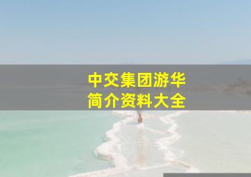 中交集团游华简介资料大全