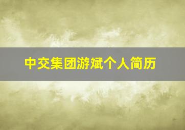 中交集团游斌个人简历