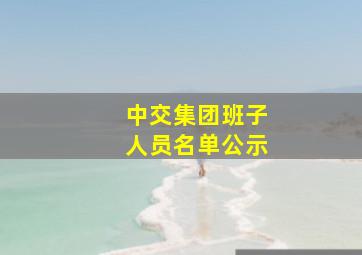 中交集团班子人员名单公示