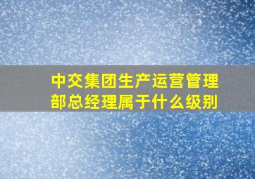 中交集团生产运营管理部总经理属于什么级别