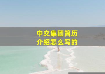 中交集团简历介绍怎么写的