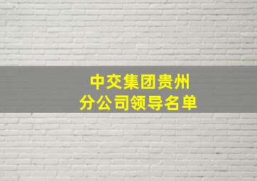 中交集团贵州分公司领导名单