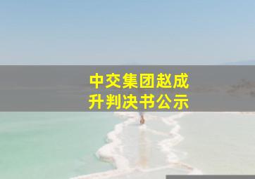 中交集团赵成升判决书公示