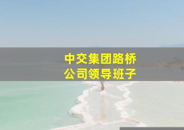 中交集团路桥公司领导班子