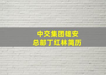 中交集团雄安总部丁红林简历