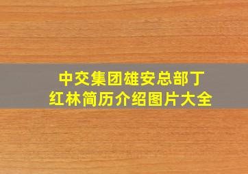 中交集团雄安总部丁红林简历介绍图片大全