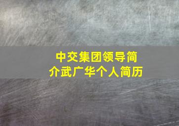 中交集团领导简介武广华个人简历