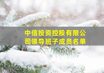 中信投资控股有限公司领导班子成员名单