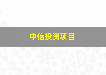 中信投资项目