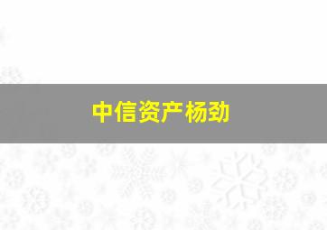 中信资产杨劲