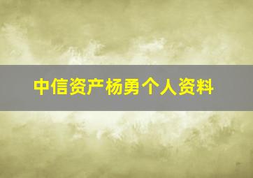 中信资产杨勇个人资料