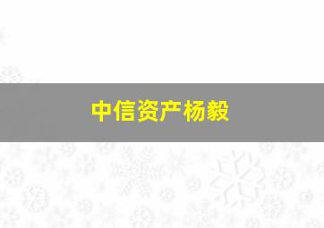 中信资产杨毅