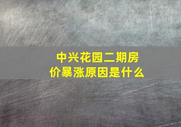 中兴花园二期房价暴涨原因是什么