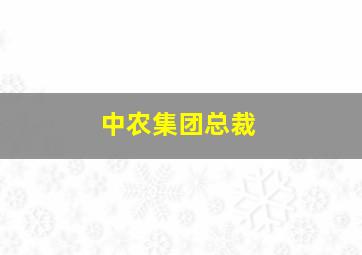 中农集团总裁