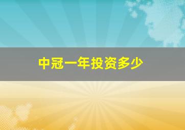 中冠一年投资多少