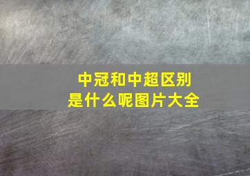 中冠和中超区别是什么呢图片大全