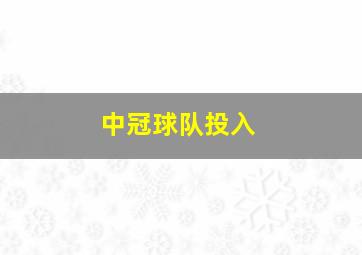 中冠球队投入