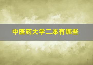 中医药大学二本有哪些