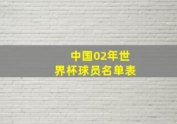 中国02年世界杯球员名单表