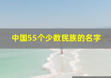 中国55个少数民族的名字