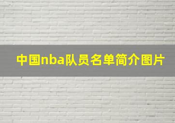 中国nba队员名单简介图片