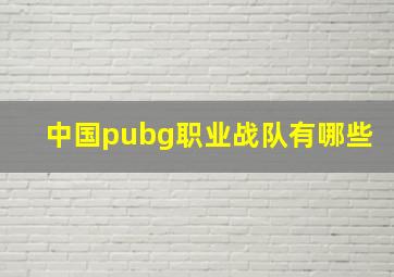 中国pubg职业战队有哪些