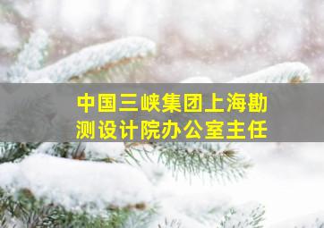 中国三峡集团上海勘测设计院办公室主任