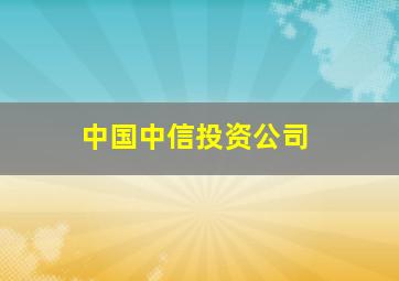 中国中信投资公司