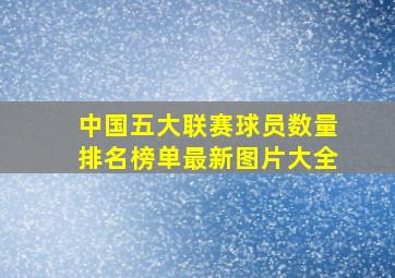 中国五大联赛球员数量排名榜单最新图片大全