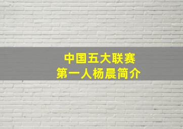 中国五大联赛第一人杨晨简介