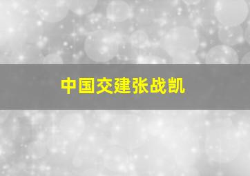 中国交建张战凯