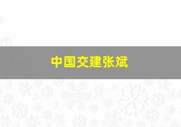 中国交建张斌