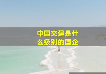 中国交建是什么级别的国企