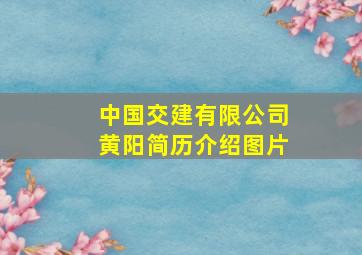 中国交建有限公司黄阳简历介绍图片