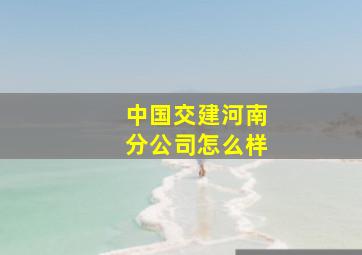 中国交建河南分公司怎么样