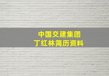 中国交建集团丁红林简历资料