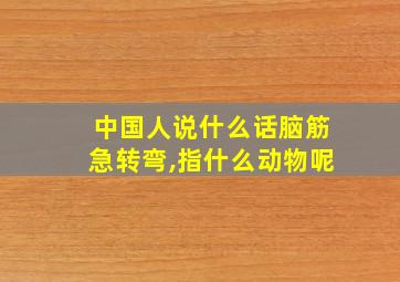 中国人说什么话脑筋急转弯,指什么动物呢