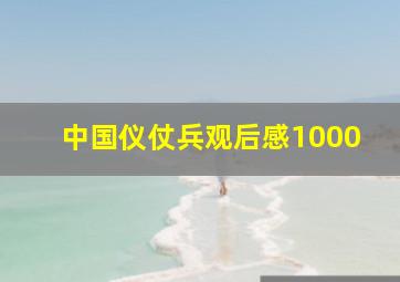 中国仪仗兵观后感1000