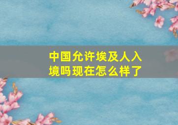 中国允许埃及人入境吗现在怎么样了